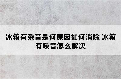 冰箱有杂音是何原因如何消除 冰箱有噪音怎么解决